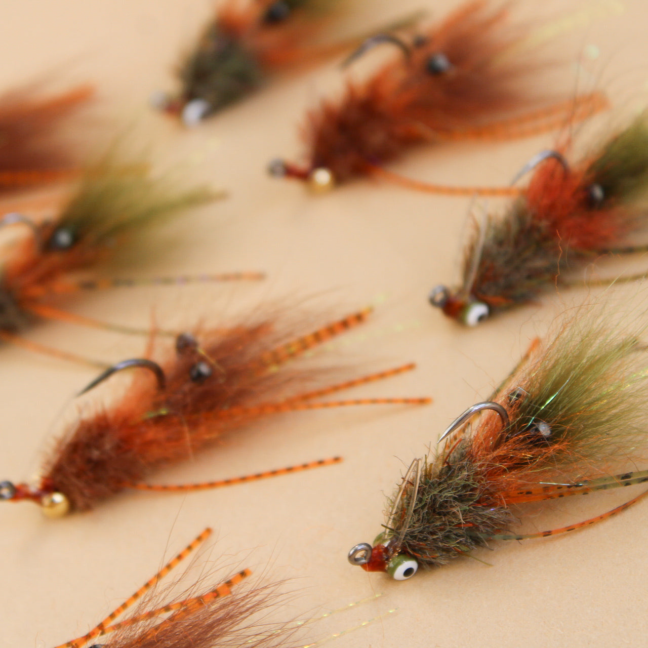 Jiggy Shrimp