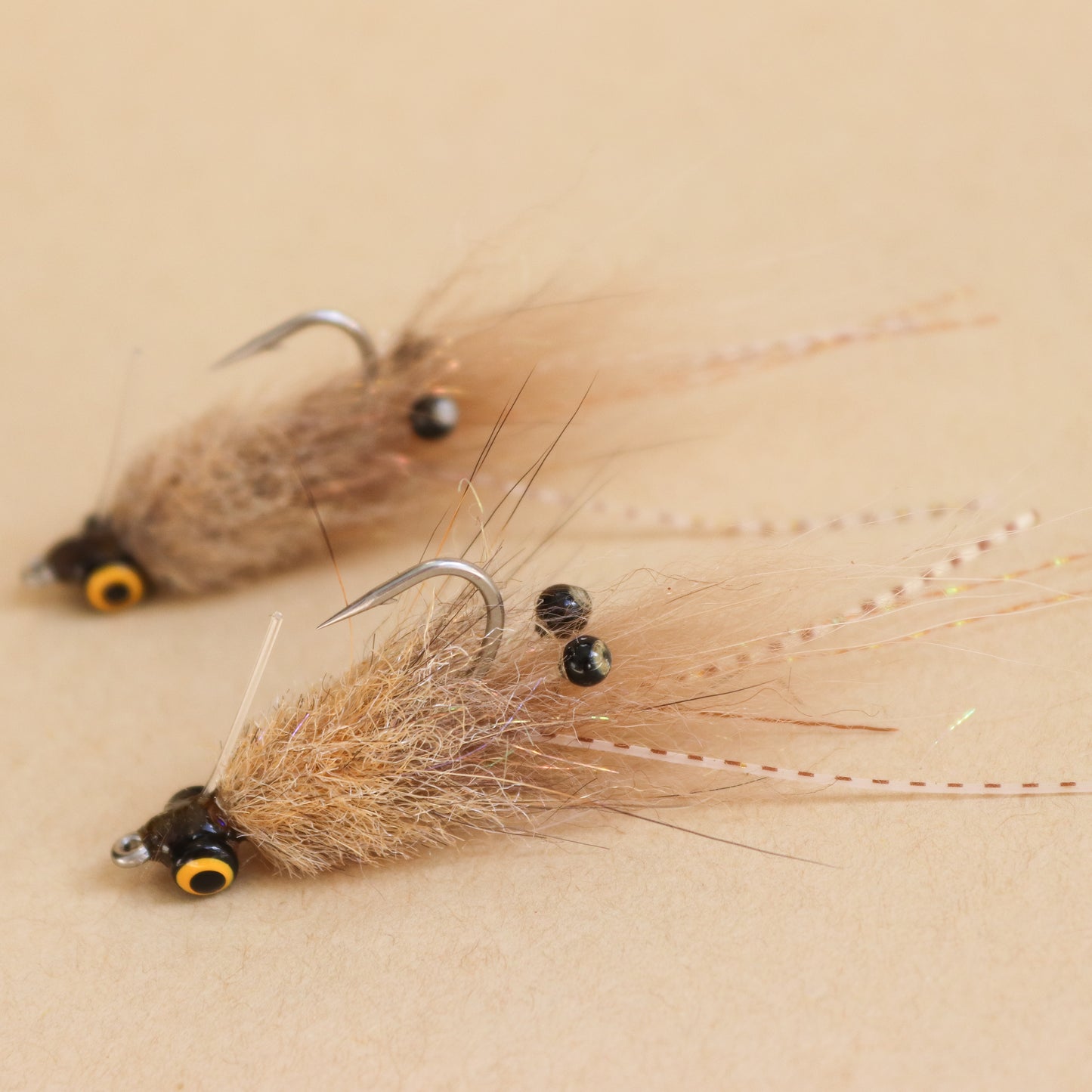 Foxy Shrimp